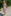 The Lisandra Dress - Pink Multi Smooth Shimmer Knit