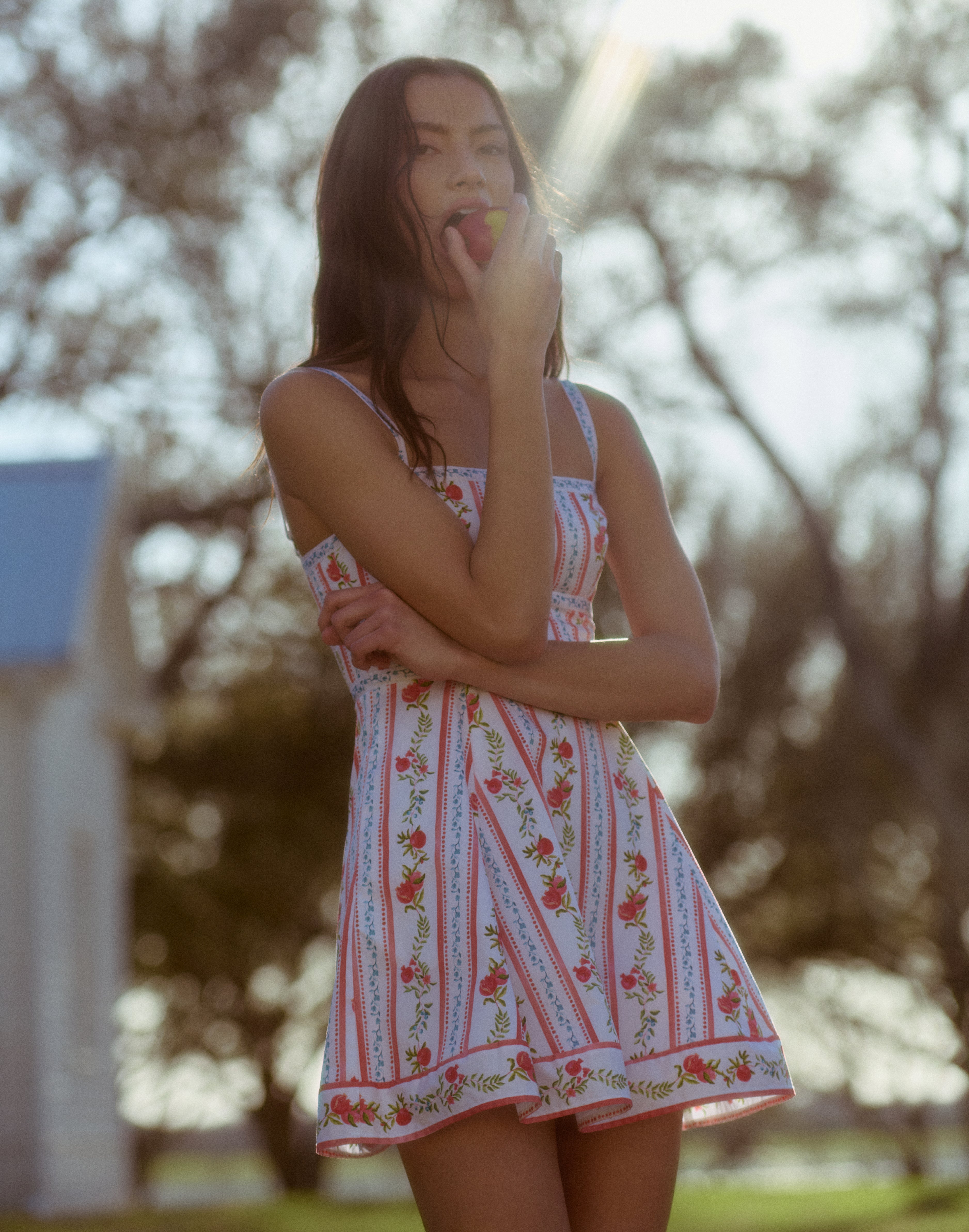 The Margot Mini Dress - Pomegranate Stripe