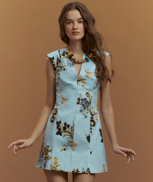 holly mini dress The Holly Dress