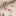 Paperweave Wallpaper - Shell Pond Floral