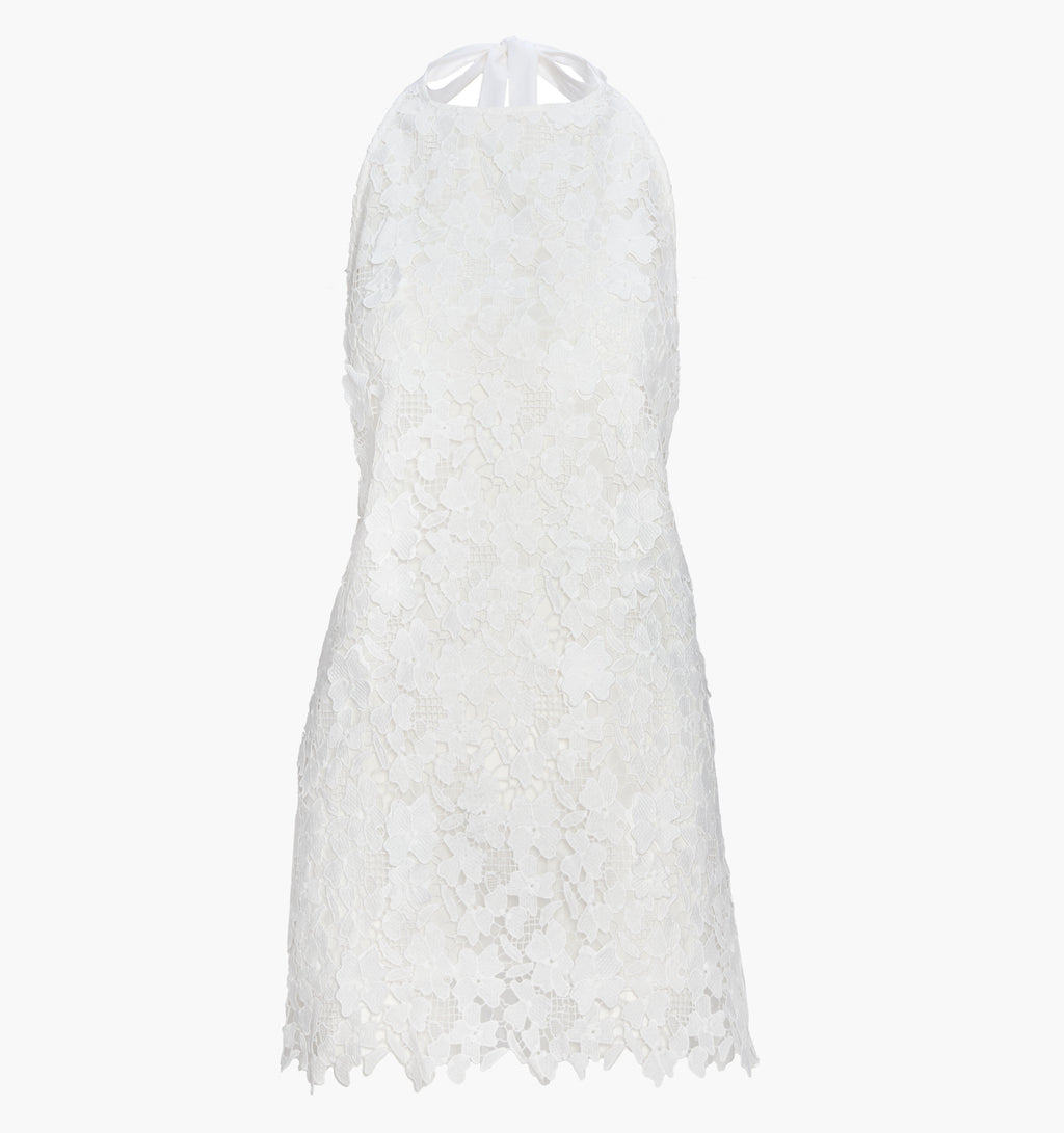 The Sasha Dress