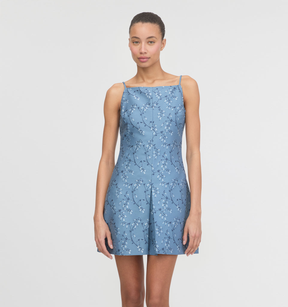 The Fae Dress