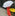The Umbrella