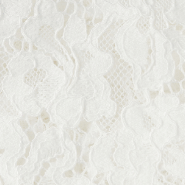 The Collector's Edition Ellie Nap Dress - White Lace color:white lace